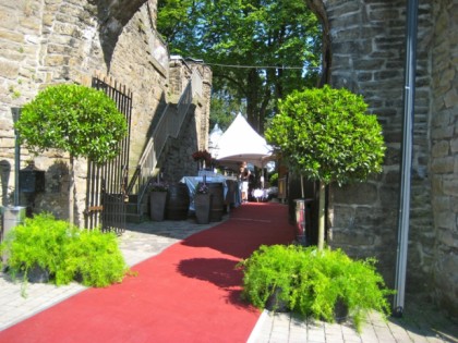 Photo: Burg Blankenstein